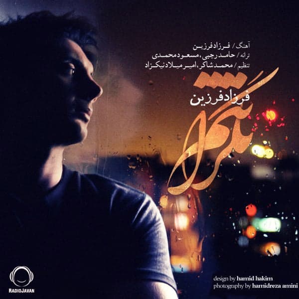 Negaranetam · Farzad Farzin