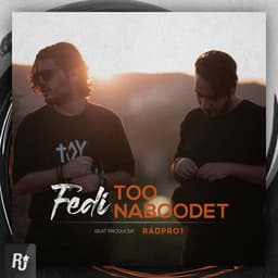 Too Naboodet · Fedi