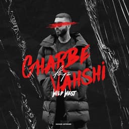 Gharbe Vahshi · Feyz