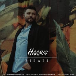 Zibaei · Haamin