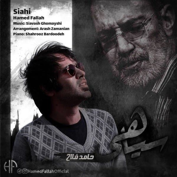 Siahi · Hamed Fallah