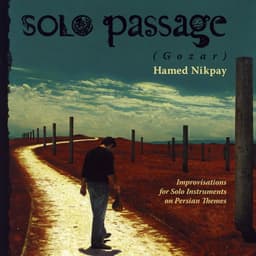 Begoo Magoo · Hamed Nikpay