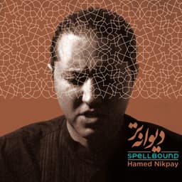 Benmay Rokh · Hamed Nikpay