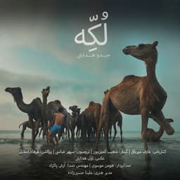 Lokkeh · Heydoo Hedayati