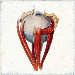 Gerye Dare · Hichkas