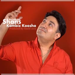Boro · Kambiz Koosha