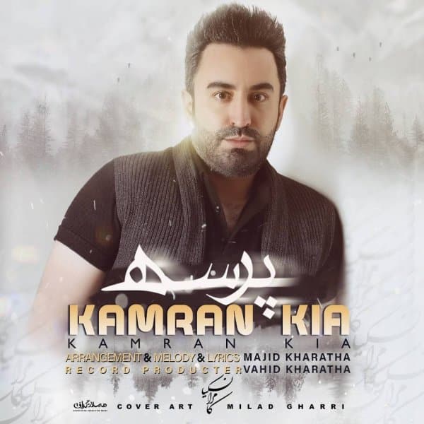 Parse · Kamran Kia
