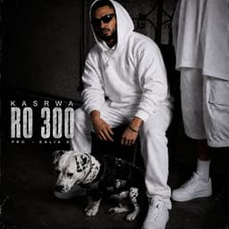 Ro 300 · Kasrwa