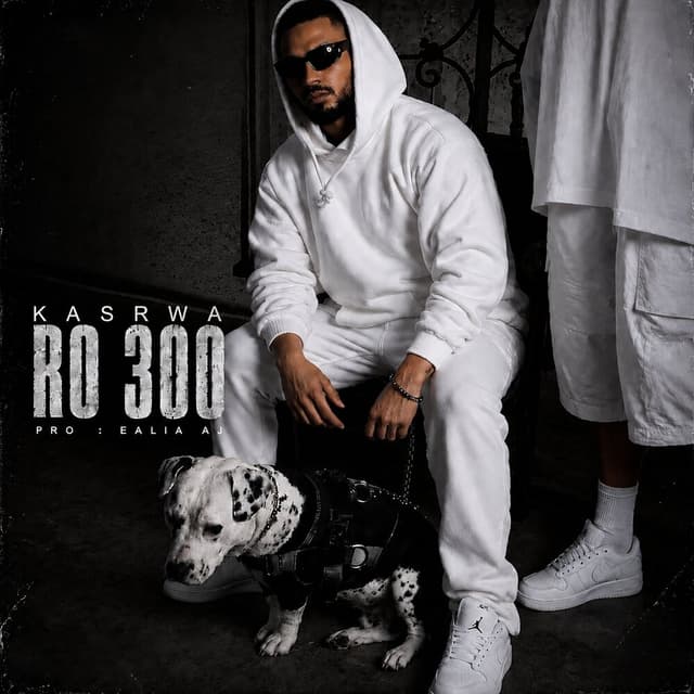 Ro 300 · Kasrwa