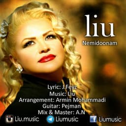Nemidoonam · Liu