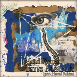 Tane Matruk · Majid Kazemi