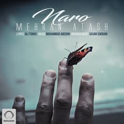 Naro · Mehran Atash