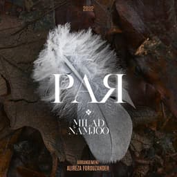 Par · Milad Namjoo