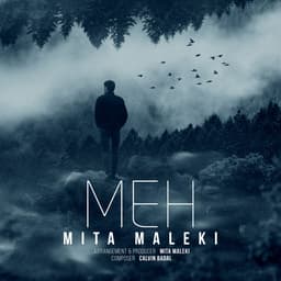 Meh · Mita Maleki