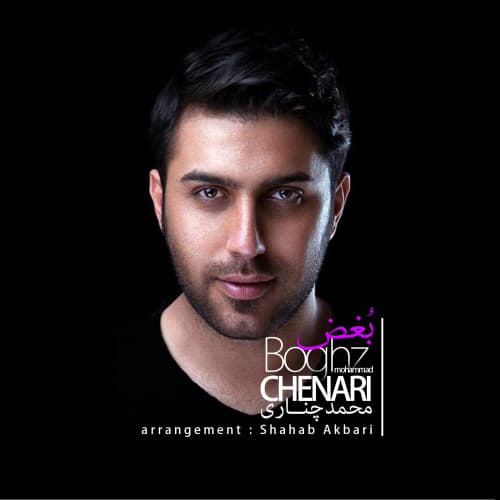 Boghz · Mohammad Chenari