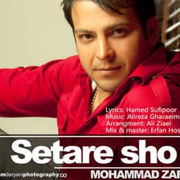 Setare Sho · Mohammad Zarin