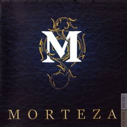 Lalehzaar · Morteza
