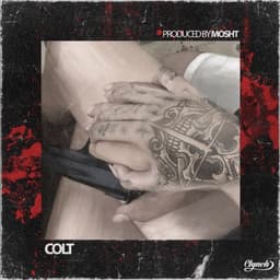 Colt · Mosht