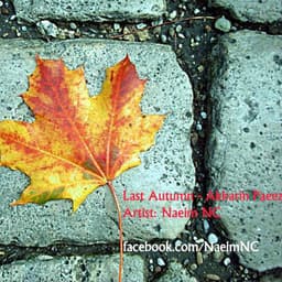 Akharin Paeez · Naeim NC