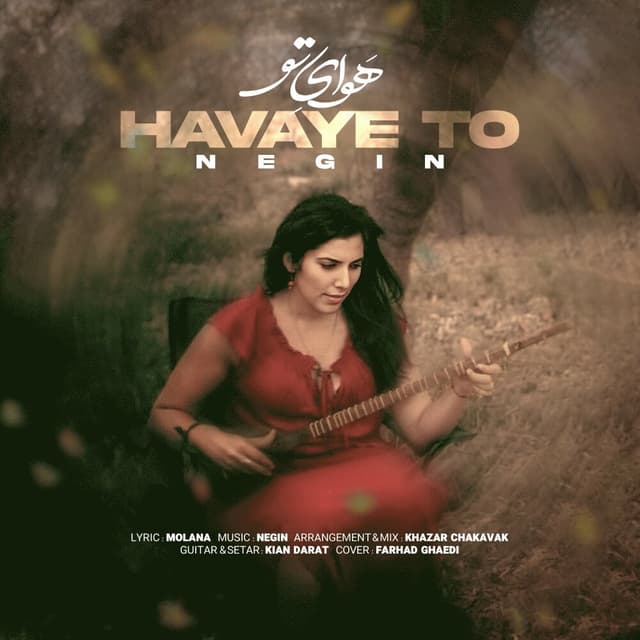 Havaye To · Negina