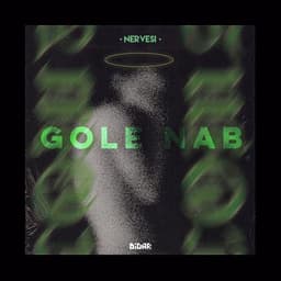 Gole Nab · Nervesi