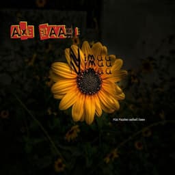 Axe Baadi · Nimaa