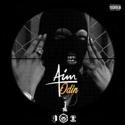 Aim · Odin
