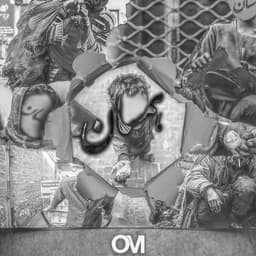 Hamsan · Om