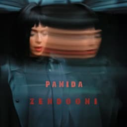 Zendooni · Panida