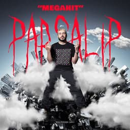 Megahit · Parsalip