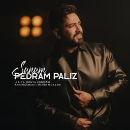 Sanam · Pedram Paliz