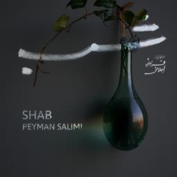 Shab · Peyman Salimi