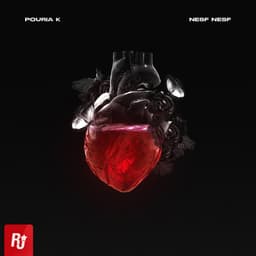 Nesf Nesf · Pouria K