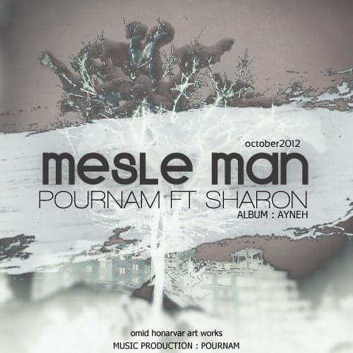 Mesle Man (Ft Sharon) · Pournam