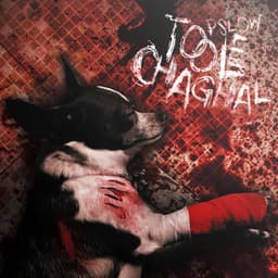 Toole Chaghal · Pslow