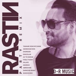 Party Remix · Rastin
