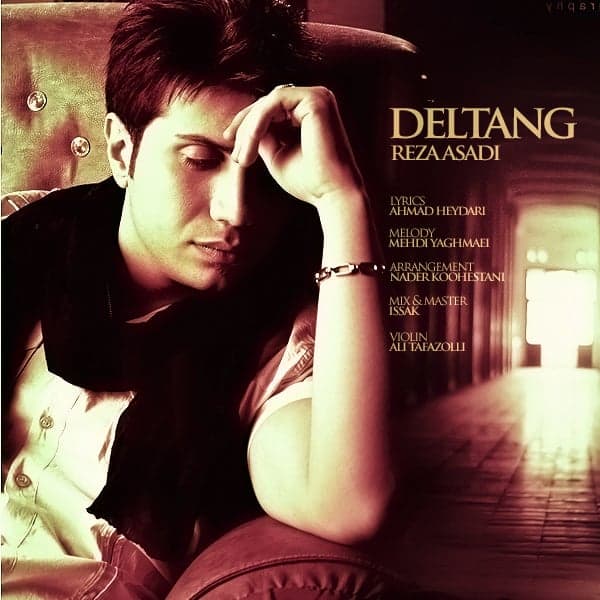 Deltang · Reza Asadi