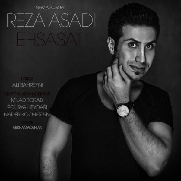 Ertebat · Reza Asadi