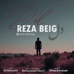 Del · Reza Beig