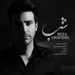 Shab · Reza Ghavidel