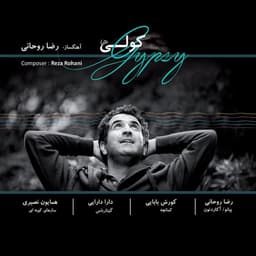 Shadow · Reza Rohani