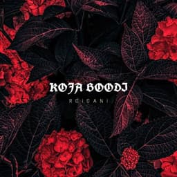 Koja Boodi · Roidani