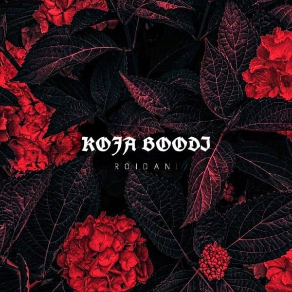 Koja Boodi · Roidani