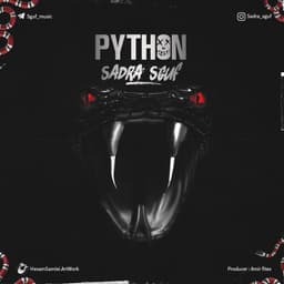 Python · Sadra Sguf