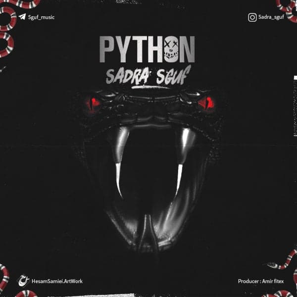 Python · Sadra Sguf