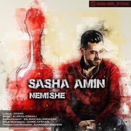 Nemishe · Sasha Amin