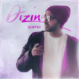 Dizin · Seinpro