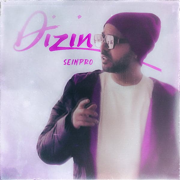 Dizin · Seinpro