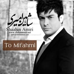 To Mifahmi · Shaahin Amiri