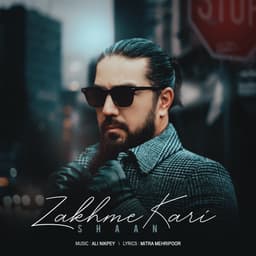 Zakhme Kari · Shaan